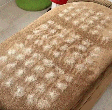 Snavay Pet Hair Brush - Buy 1 Get 1 Free