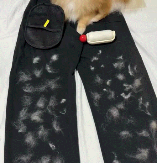 Snavay Pet Hair Brush - Buy 1 Get 1 Free