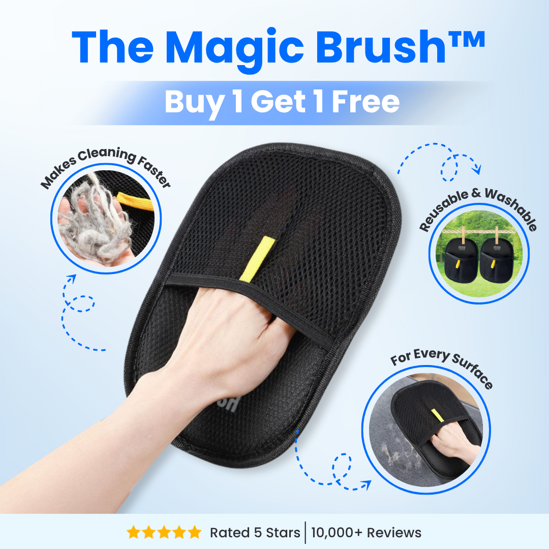 Snavay Pet Hair Brush - Buy 1 Get 1 Free