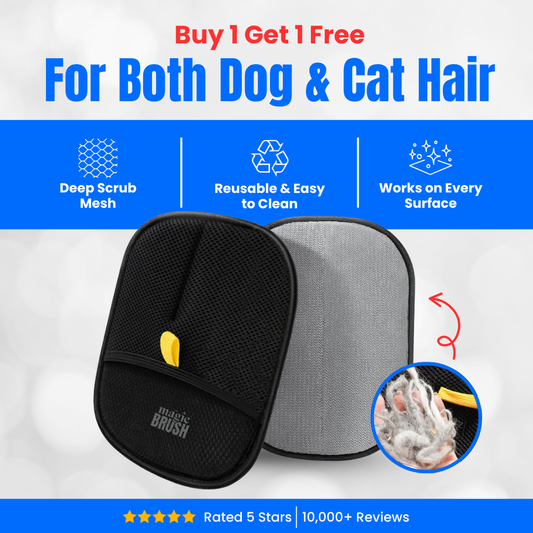 Snavay Pet Hair Brush - Buy 1 Get 1 Free