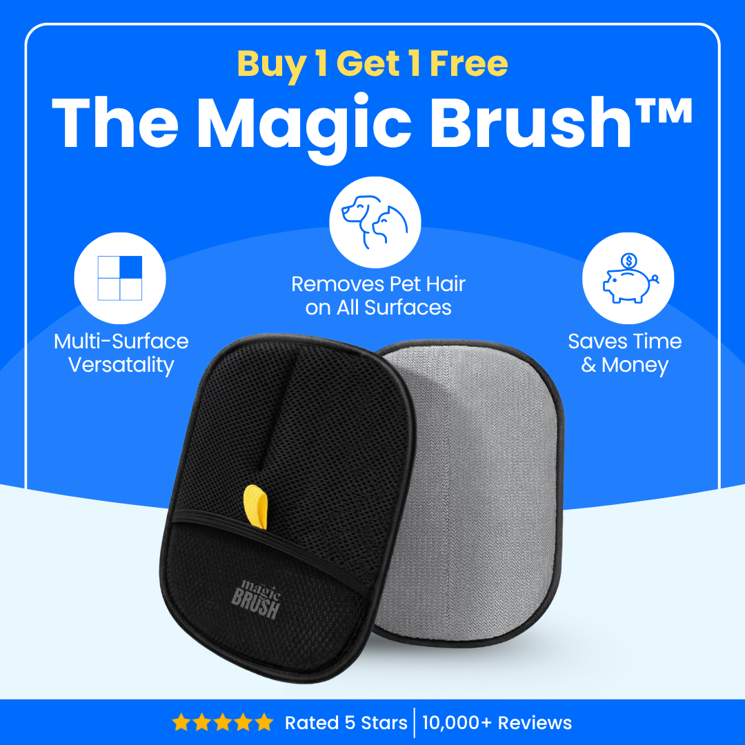 Snavay Pet Hair Brush - Buy 1 Get 1 Free