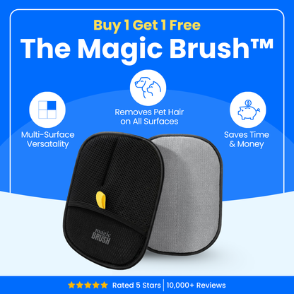 Snavay Pet Hair Brush - Buy 1 Get 1 Free