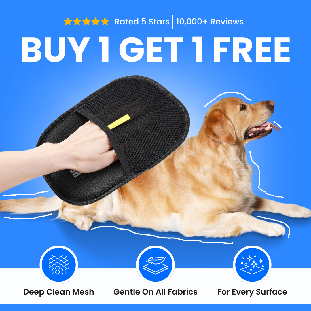 Snavay Pet Hair Brush - Buy 1 Get 1 Free