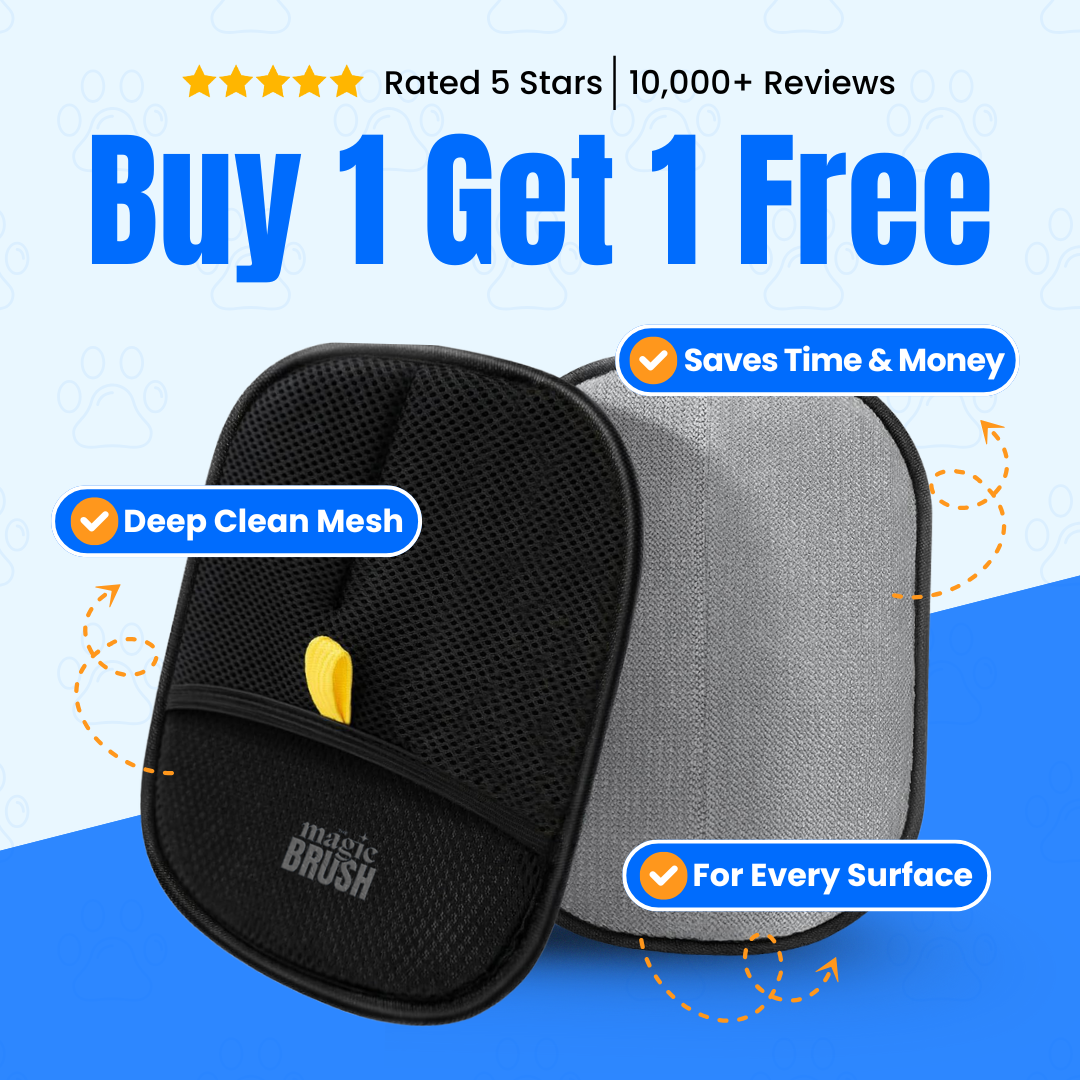 Snavay Pet Hair Brush - Buy 1 Get 1 Free